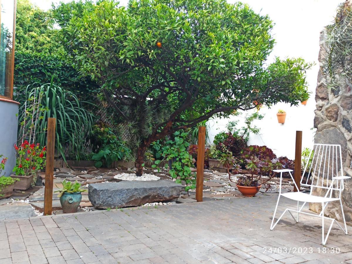 Casa Magali Villa Tacoronte Exteriör bild
